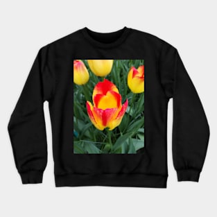 A flower's pride Crewneck Sweatshirt